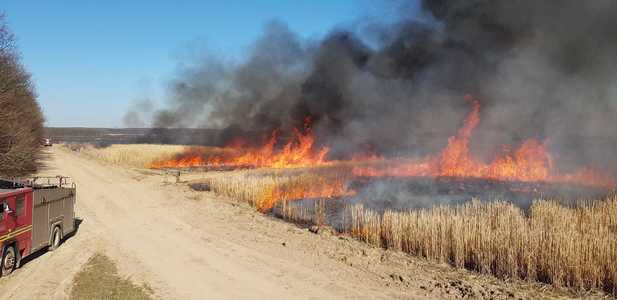 Bihor: Bărbat găsit carbonizat în urma unui incendiu de vegetaţie uscată