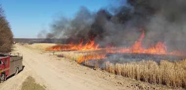 Bihor: Bărbat găsit carbonizat în urma unui incendiu de vegetaţie uscată