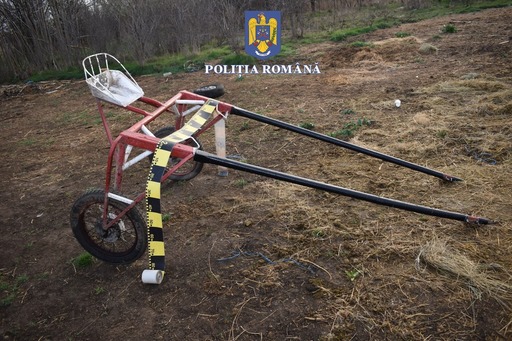 Olt: Patru bărbaţi sunt cercetaţi, după ce au organizat şi au participat la curse ilegale cu cai pe un drum comunal 