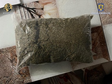 Olt: Percheziţii la persoane bănuite de trafic de droguri, fiind găsite aproape 4 kilograme de canabis/ Doi bărbaţi au fost reţinuţi