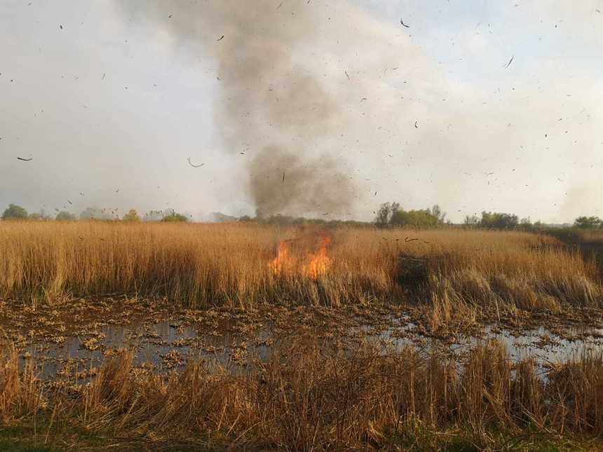 Incendiu în Delta Dunării. Au ars 100 de hectare vegetaţie uscată şi stuf - FOTO