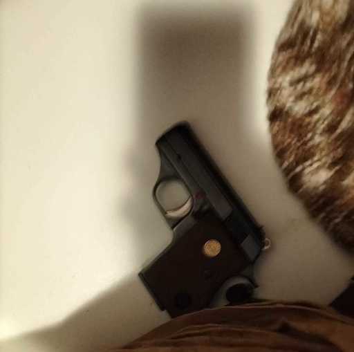 Argeş: Bărbatul filmat în timp ce trage cu un pistol în parcarea unui local, ameninţă şi înjură a fost reţnut pentru 24 de ore