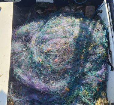 Peste o sută de kilograme de peşte, inclusiv sturioni, şi sute de metri de plase de pescuit, descoperite în ultimele zile de poliţiştii de frontieră