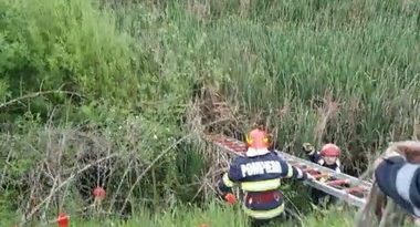 Dolj: Femeie salvată de pompieri, după ce a rămas blocată într-o mlaştină - FOTO
