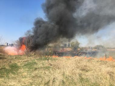 UPDATE - Incendiu în Parcul Natural Văcăreşti, la 500-700 de metri de Splaiul Unirii/ Este afectată o suprafaţă de 4.000 de metri pătraţi/ Incendiul a fost stins