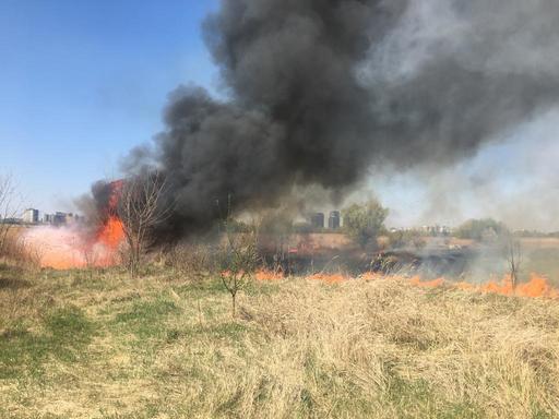UPDATE - Incendiu în Parcul Natural Văcăreşti, la 500-700 de metri de Splaiul Unirii/ Este afectată o suprafaţă de 4.000 de metri pătraţi/ Incendiul a fost stins