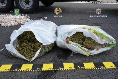 Arad: Şase persoane reţinute pentru trafic internaţional de droguri de risc si trafic intern de droguri/ Substanţele au fost aduse în ţară, din Spania, pe la Punctul de Trecere a Frontierei Nădlac/ În total, au fost găsite 27 de kilograme de cannabis