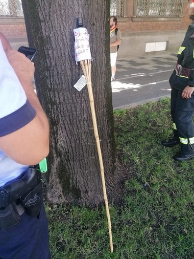 Timişoara: O persoană a încercat să incendieze steagurile din faţa primăriei. Bărbatul a fost prins de poliţie / Fritz: Nu vom ceda niciun milimetru extremiştilor violenţi - FOTO