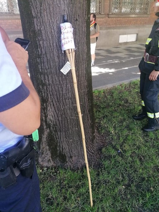 Timişoara: O persoană a încercat să incendieze steagurile din faţa primăriei. Bărbatul a fost prins de poliţie / Fritz: Nu vom ceda niciun milimetru extremiştilor violenţi - FOTO