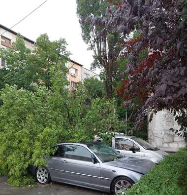 Dolj: Intervenţii ale pompierilor după ce mai mulţi copaci au fost dărâmaţi şi câteva acoperişuri luate de vânt, în urma unei furtuni