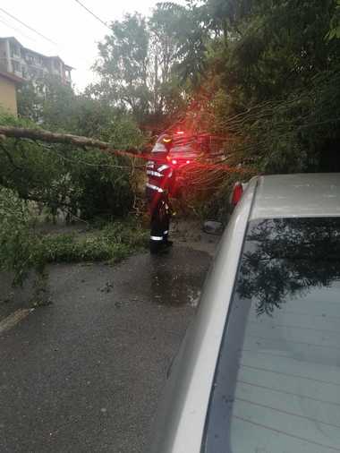Vrancea: Pompierii intervin pentru îndepărtarea mai multor arbori şi stâlpi doborâţi de furtună - FOTO