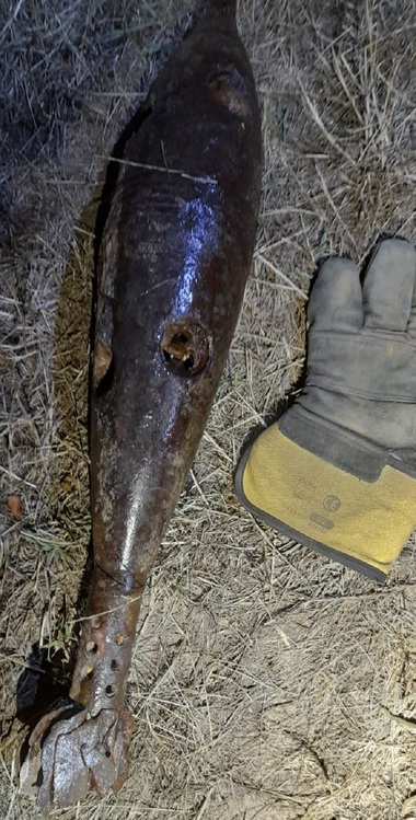 Bihor: Un bărbat care se scălda în râul Crişul Pietros a descoperit o bombă de artilerie neexplodată - FOTO
