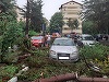 UPDATE - Copaci doborâţi de rafalele de vânt la Râmnicu Vâlcea, aflat sub Cod roşu de furtună luni după amiază - FOTO
