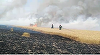 Galaţi - Incendiu puternic izbucnit într-un lan de grâu din zona localităţii Şendreni - FOTO, VIDEO