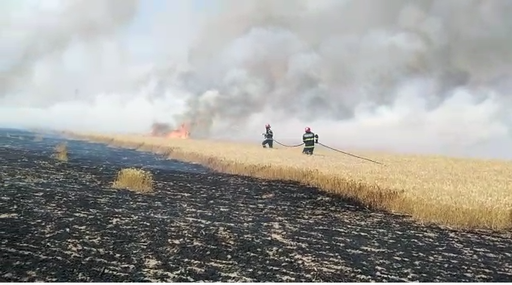 Galaţi - Incendiu puternic izbucnit într-un lan de grâu din zona localităţii Şendreni - FOTO, VIDEO