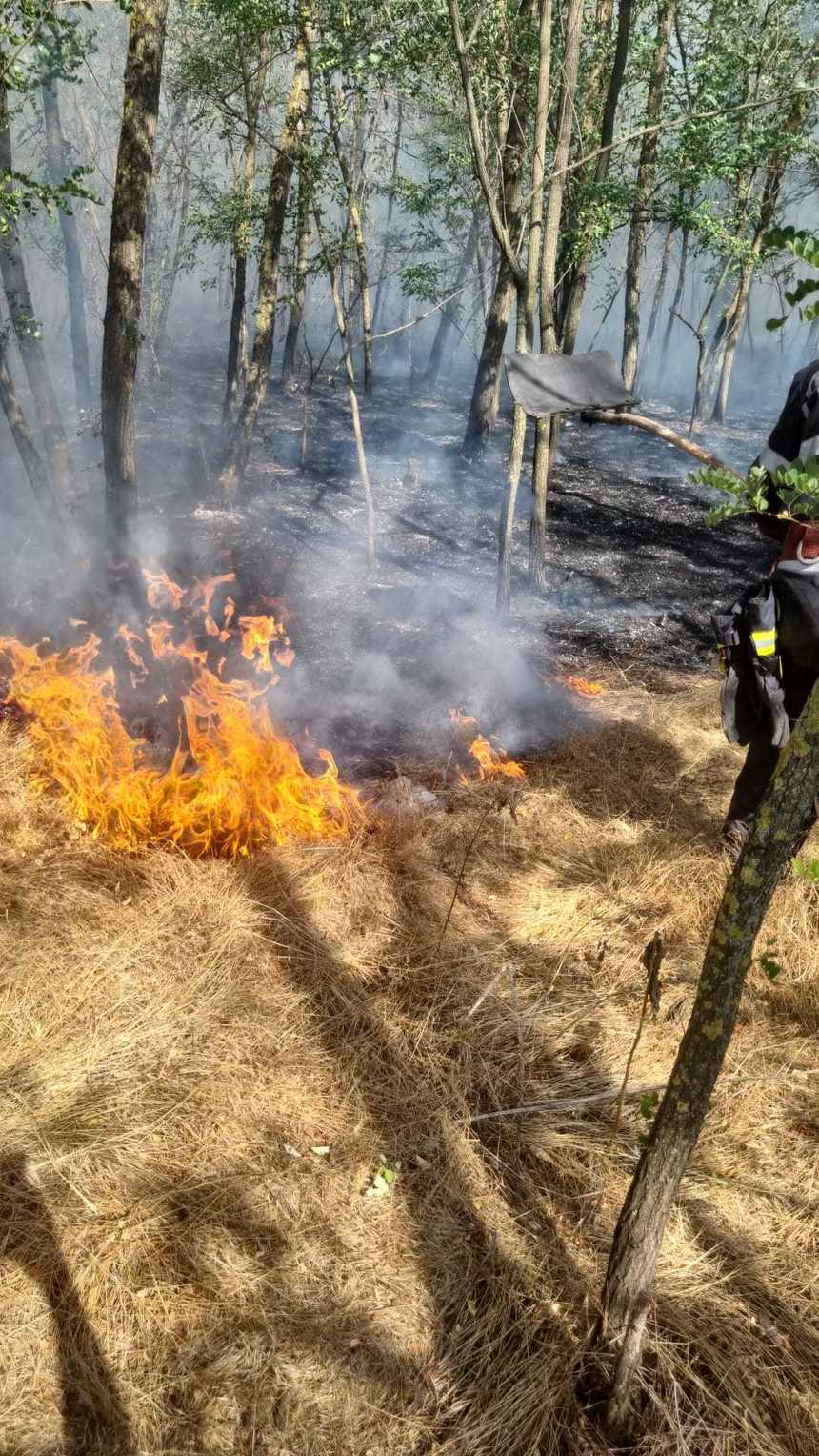 UPDATE - Vrancea: Incendiu de vegetaţie în zona localităţii Sihlea/ Pompierii au reuşit să stingă flăcările, care au afectat circa 50 de hectare de pădure şi 25 de hectare de vegetaţie uscată şi mirişte - VIDEO