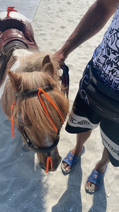 Constanţa: Trei bărbaţi au fost amendaţi cu câte 3.000 de lei fiecare deoarece foloseau ponei pentru ca turiştii să facă poze cu aceştia pe plajă - FOTO
