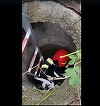 Pisică salvată dintr-un canal de către echipajele ISU Argeş - FOTO, VIDEO
