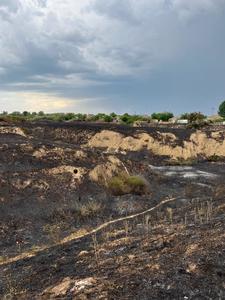 Incendiul extins pe o sută de hectare la marginea oraşului Feteşti a avut drept cauză probabilă folosirea intenţionată a focului
