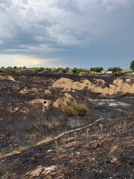 Incendiul extins pe o sută de hectare la marginea oraşului Feteşti a avut drept cauză probabilă folosirea intenţionată a focului
