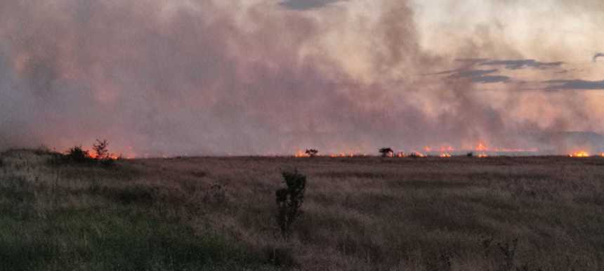 Olt: Incendiu pe 11 hectare de teren / Flăcările au cuprins şi un lan de grâu