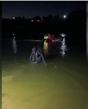 UPDATE Bărbat de 41 de ani, găsit înecat într-o baltă din Olt. El a fost descoperit într-o zonă unde apa avea cinci metri adâncime şi în condiţii de vizibilitate zero  - FOTO
