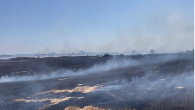 UPDATE - Incendiu pe 30 hectare de vegetaţie uscată la marginea municipiului Timişoara / Focul a fost stins - FOTO
