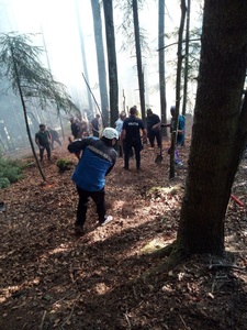 Incendiul din Munţii Rodnei, lichidat parţial, după ce focul, care a afectat iniţial două hectare de pădure, s-a extins - FOTO