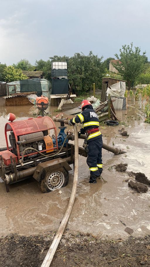 Tulcea: Copac căzut pe o maşină în mişcare / Nicio persoană nu a fost rănită / Trei gospodării şi o casă au fost inundate