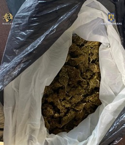Percheziţii ale poliţiştilor şi procurorilor în Bucureşti şi în judeţul Ilfov, la persoane suspectate că au adus în ţară peste 2,7 kilograme de canabis/ Drogurile urmau să fie vândute în Capitală