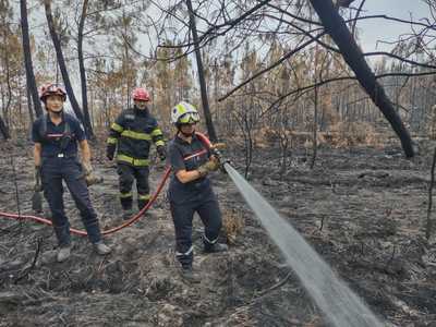 Un număr de 37 de pompieri români intervin pentru stingerea unor incendii de vegetaţie în zona Belin-Béliet, Franţa - FOTO, VIDEO