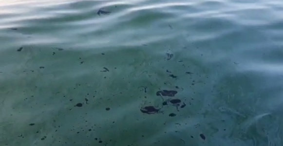 Poluare cu hidrocarburi în zona digului de nord al Portului Constanţa/ Aceasta ar proveni de la două nave scufundate în zonă, în urmă cu 27 de ani - VIDEO