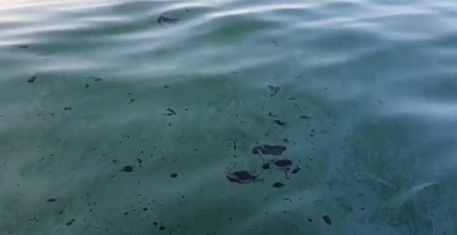 Poluare cu hidrocarburi în zona digului de nord al Portului Constanţa/ Aceasta ar proveni de la două nave scufundate în zonă, în urmă cu 27 de ani - VIDEO