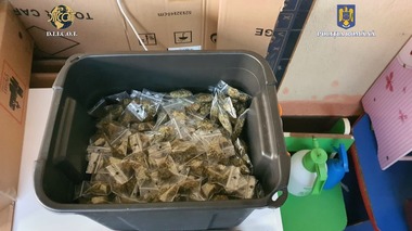 Constanţa: 10 persoane au fost reţinute pentru trafic de droguri/ În urma percheziţiilor, poliţiştii au găsit cannabis, cocaină, MDMA şi ecstasy