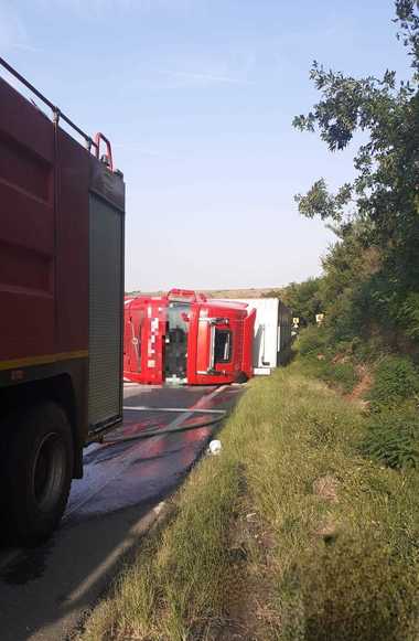 Giurgiu: TIR încărcat cu peste 600 de porci, răsturnat pe DN 6
