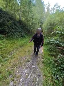 Hunedoara: Bărbat rătăcit pe munte, unde plecase la cules de ciuperci, găsit de jandarmi după opt ore de căutări - VIDEO