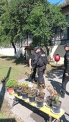 UPDATE - Argeş: Grădiniţă evacuată, după ce în subsolul clădirii a fost descoperit un proiectil/ Proiectilul, fără focos, provenind din Al Doilea Război Mondial, a fost ridicat de pirotehnişti - FOTO