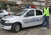 Maramureş: Anchetă a Poliţiei după ce o persoană a anunţat prin numărul 112 că a găsit doi câini spânzuraţi într-o pădure