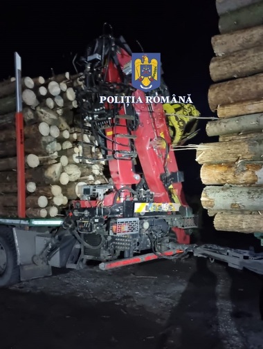 UPDATE - IGPR - 146 de percheziţii vizând infracţiuni de evaziune fiscală, spălarea banilor, tăiere fără drept de arbori din fondul forestier naţional şi delapidare - FOTO