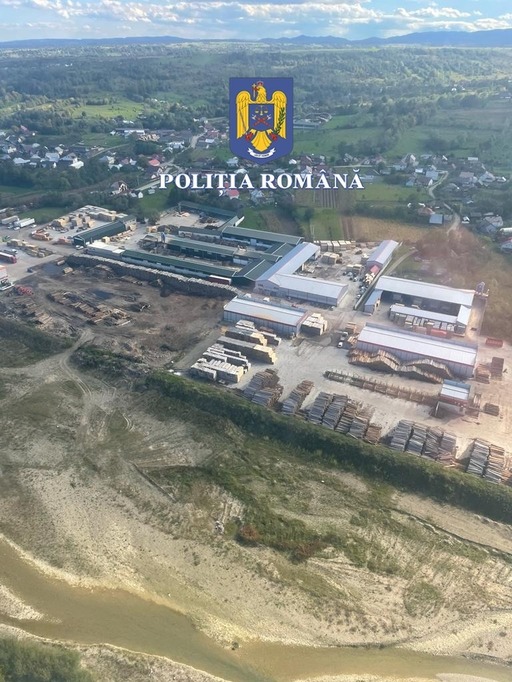 Anchetatorii au descoperit diferenţe în stocurile mai multor depozite de material lemnos verificate în cadrul celor 146 de percheziţii făcute miercuri / Laptopuri, telefoane mobile, bani şi lemne, indisponibilizate  