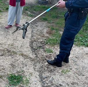 Bistriţa-Năsăud: Jandarmii au intervenit pentru îndepărtarea unui şarpe de peste un metru dintr-o gospodărie - FOTO
