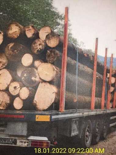 IGPR: Două grupări infracţionale în domeniul silvic, identificate în Suceava / Acesta controlau 20 de societăţi, prin intermediul cărora au derulat activităţi încă din 2019 / Peste 20.000 de controale în primele 8 luni ale anului