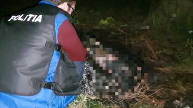 Botoşani: Un bărbat a fost reţinut după ce şi-a ucis câinele, iar apoi i-a dat foc / El era nemulţumit că animalul era prea gălăgios