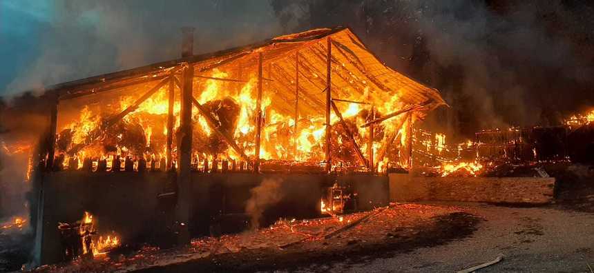 Neamţ: Incendiu la un adăpost pentru plante furajere. Există risc de propagare la fondul forestier