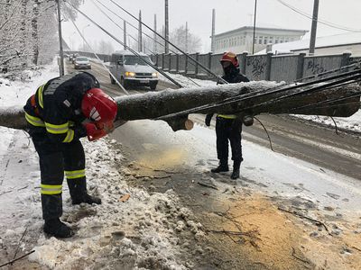 Suceava: Copaci rupţi de zăpadă / Pompierii au intervenit pentru degajarea acestora - FOTO