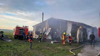 Satu Mare: Incendiul de la crescătoria de găini a pornit de la un scurtcircuit la instalaţia de ventilare / Peste 9.000 de găini ouătoare au murit  