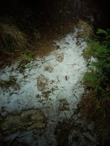 Braşov: Salvamontiştii au căutat, timp de peste cinci ore, un bărbat care sunat la 112 cerând ajutor şi spunând că este epuizat fizic. Ulterior, el a refuzat cooperarea cu salvatorii, devenind recalcitrant