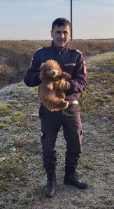Bihor: Pui de câine căzut într-un canal, salvat de către pompieri - FOTO