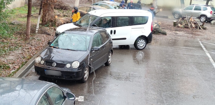 Buzău: Patru autoturisme din municipiu, avariate după ce un copac s-a prăbuşit peste ele din cauza vântului