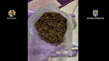 Braşov: Şapte persoane, reţinute după ce ar fi recrutat fete minore pentru a le obliga să se prostitueze/ Suspecţii, implicaţi şi în trafic de droguri